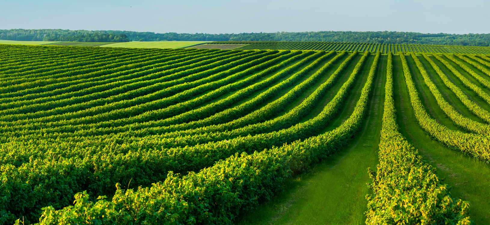 Agriculture Industry Services