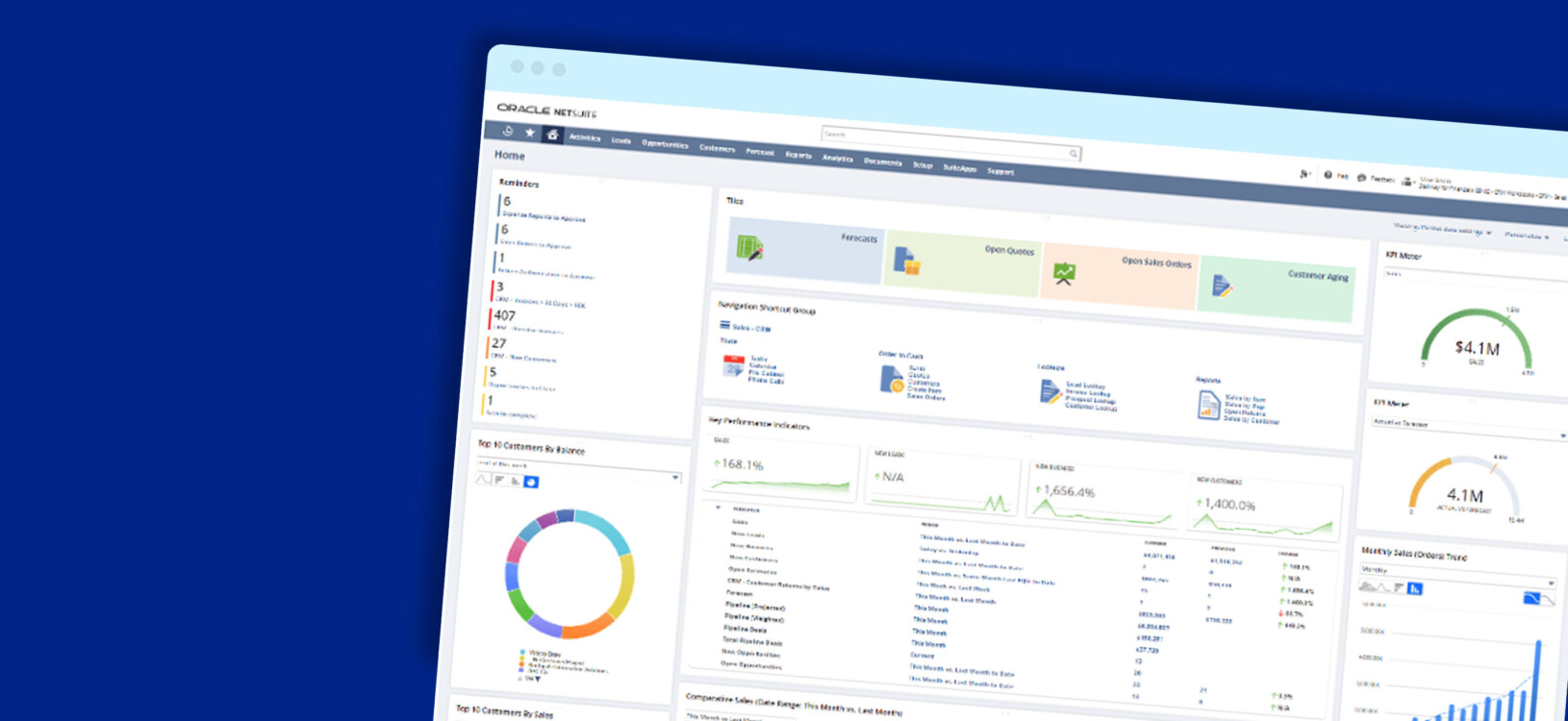 industry-specific NetSuite services