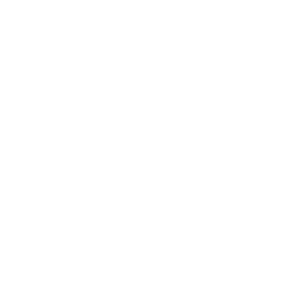 Wealth management 